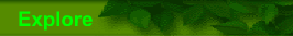 Explore